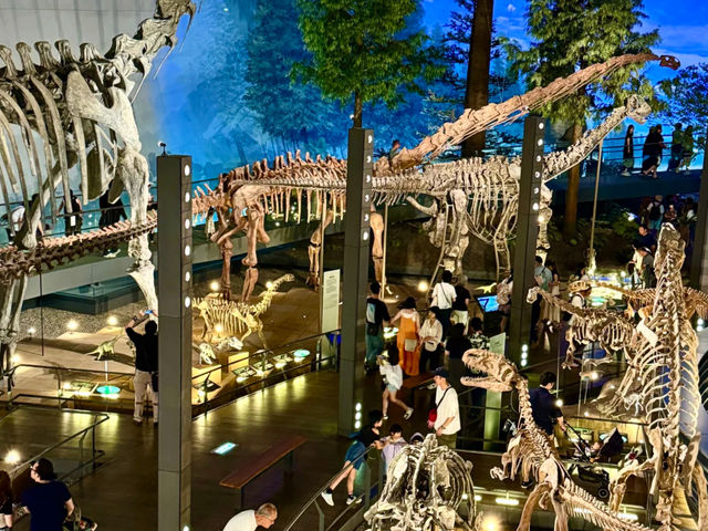 My Trip to Fukui: Welcome to the Jurassic City! 🦖