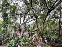 🌿 Yanoda — Hainan’s Tropical Rainforest Wonderland