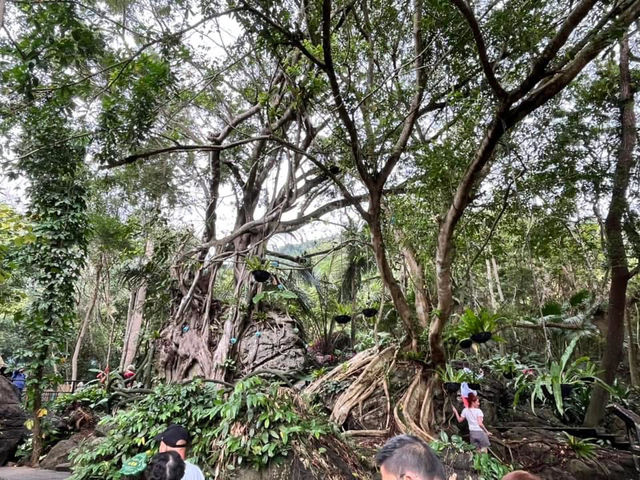 🌿 Yanoda — Hainan’s Tropical Rainforest Wonderland