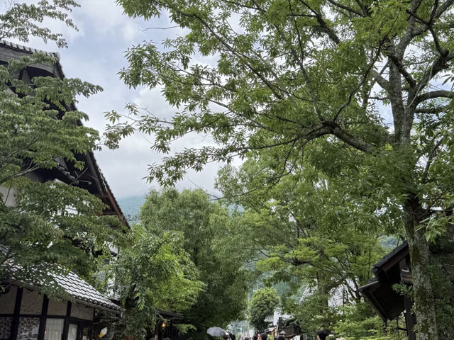 My Yufuin Half-Day: A Tale of Two Experiences ✨