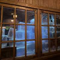 【香港ディズニー】世界でここだけ❄️アナ雪エリア