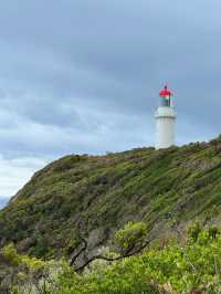 【莫寧頓半島｜海岸與葡萄酒交織的靜謐之旅】