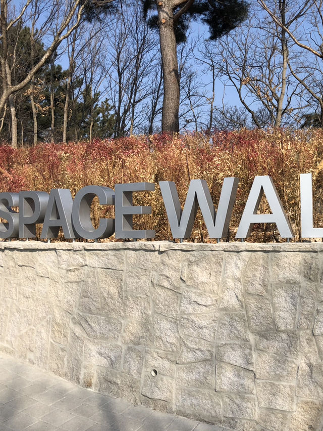 🚀 포항 명물 스페이스워크,  바다 위를 걷는 짜릿한 경험! 스릴 넘치는 포항 여행 코스