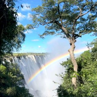 Swimming in the Devil's Pool at Victoria Falls in Africa