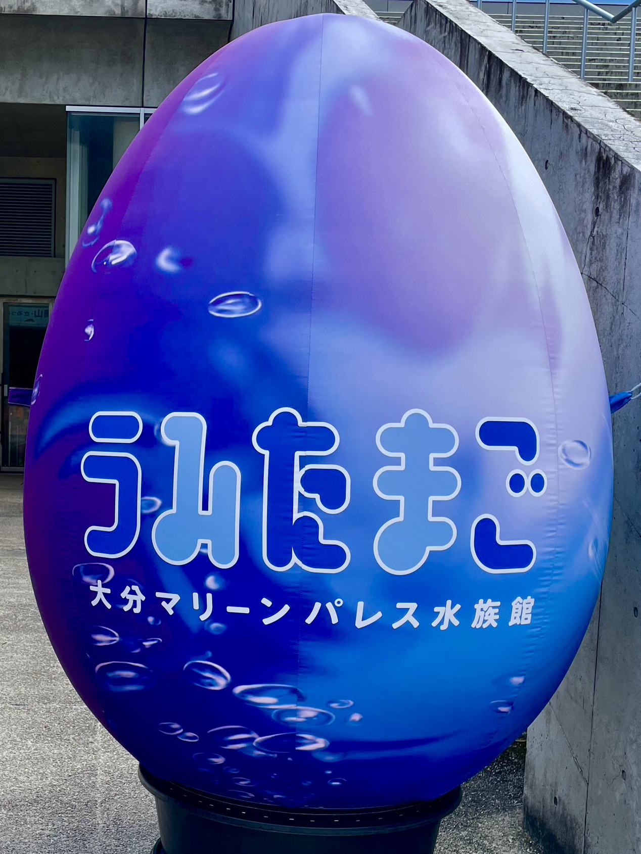 🇯🇵【Oita Prefecture】Oita Marine Palace Aquarium "Umitamago"