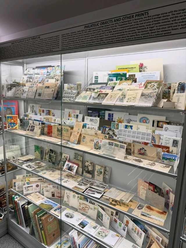 Exploring the Museum of Romanian Records