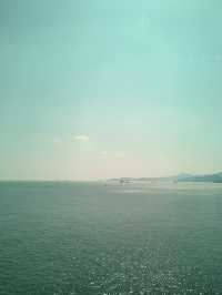 🌴 제주 서쪽, 바다와 노을의 시간 ✨