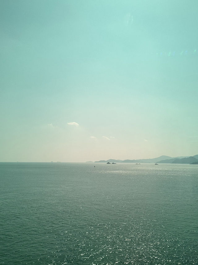 🌴 제주 서쪽, 바다와 노을의 시간 ✨