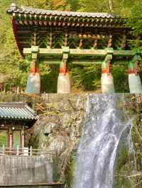 🌿 양산 홍룡사 & 황산공원, 하루 힐링 코스 🌸✨