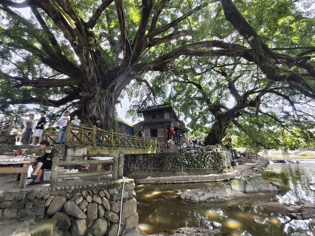 非旺季來雲水謠才知什麼是歲月靜好