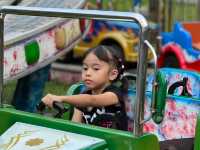 TikTok doesn’t help much. Let me make your life easier when visiting Taman Safari Bogor.