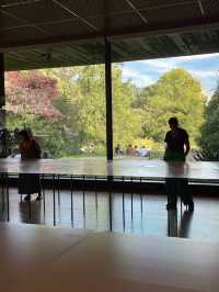 Wandering Through Portugal: Long Journey Itinerary – Lisbon 
