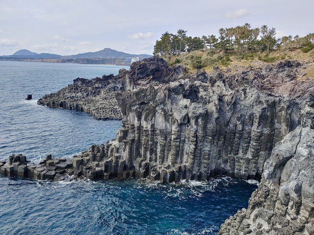 🌊 제주 바다 위에서 즐기는 특별한 요트 투어 ✨