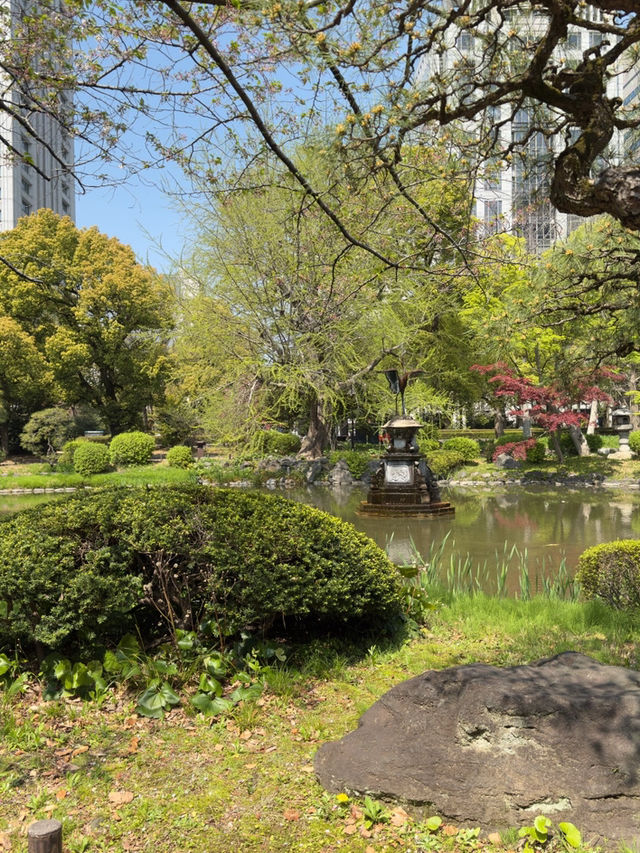 東京日比谷秋日自然散步🌳  