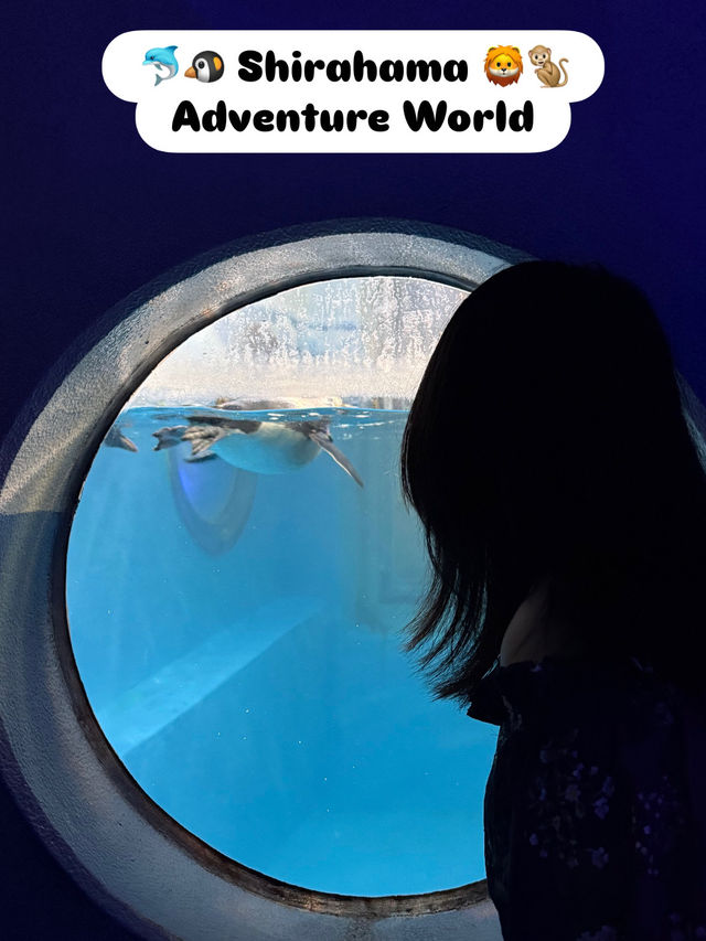 🇯🇵 Shirahama Adventure World Zoo Day🦒 🇯🇵 Shirahama Adventure World Zoo Day🦒