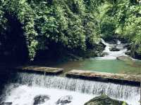 🌿「追隨水聲，一步步走進山林的心跳節奏。」