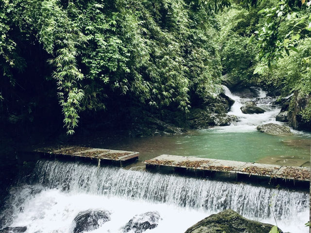 🌿「追隨水聲，一步步走進山林的心跳節奏。」