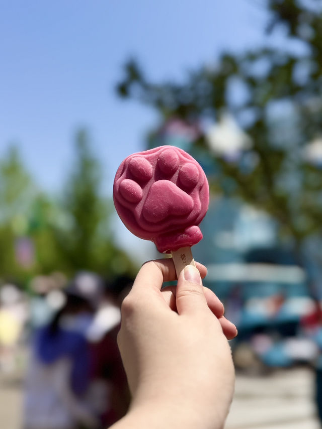 Disneyland Shanghai — Castle Views & Tasty Bites 🏰✨