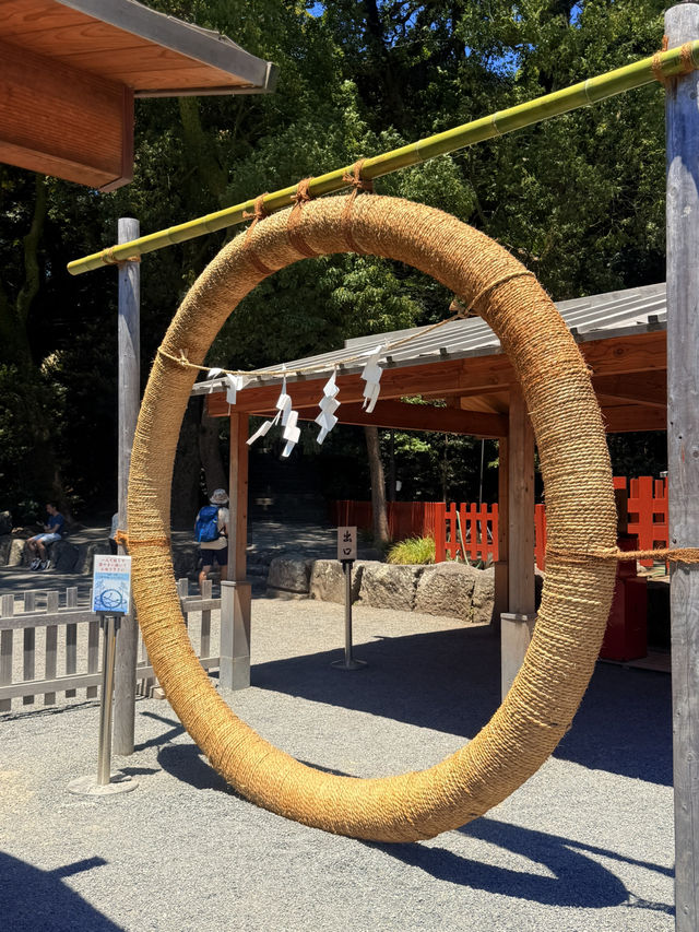 鐮倉｜不只櫻花季絕美 在荷花最美季節造訪鶴岡八幡宮