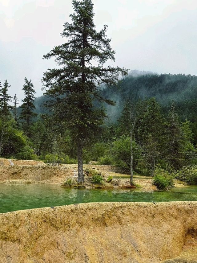 Fairyland of Golden Pools