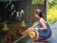 รีสอร์ทเขาใหญ่ สัมผัสความเป็นอีสานได้แบบถูกต้อง 