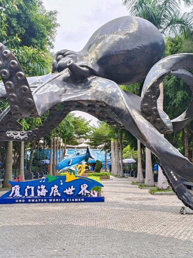 廈門至鼓浪嶼VIP船票服務
