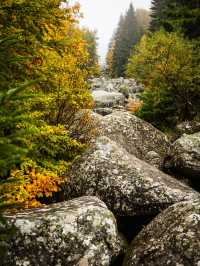 Walking the Stone River of Time on Mount Vitosha