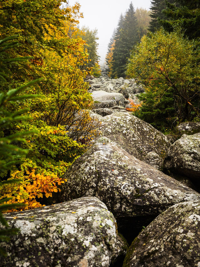 Walking the Stone River of Time on Mount Vitosha Walking the Stone River of Time on Mount Vitosha