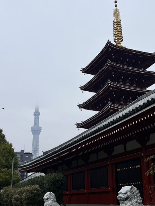 🏮 Temples in Tokyo – A Glimpse of Tradition in a Modern City 🏮 Temples in Tokyo – A Glimpse of Tradition in a Modern City