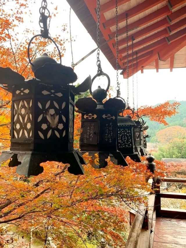大化改新の礎を語る、藤原鎌足を祀る古社