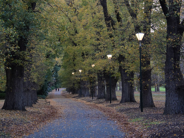  🌳 墨爾本市中心的秘密花園！Fitzroy Gardens 一日輕旅行