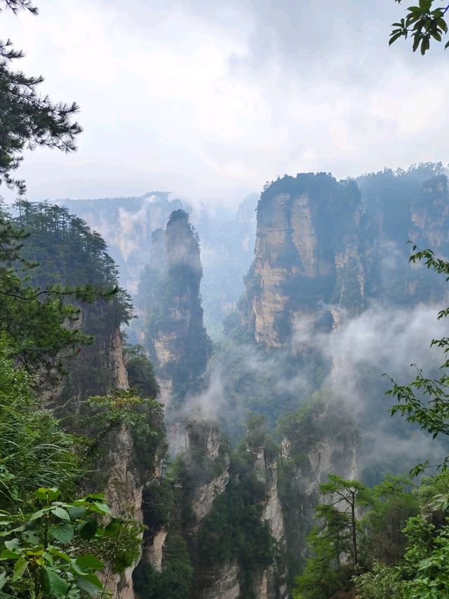 Mystical Peaks & Cloud Kingdoms: The Magic of Zhangjiajie