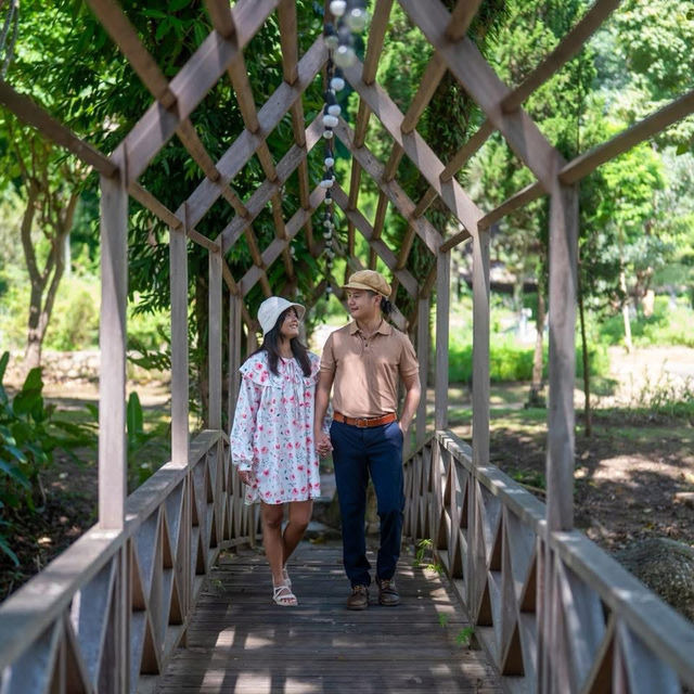 ที่พักเชียงใหม่ท่ามกลางสวนดอกไม้และขุนเขา 🌳 ที่พักเชียงใหม่ท่ามกลางสวนดอกไม้และขุนเขา 🌳