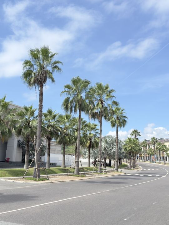 越南藩切movenpick 渡假村體驗
