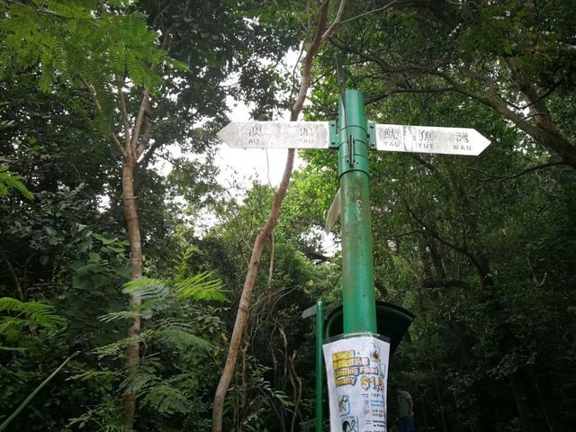 雙颱風接連過境後再訪小夏威夷徑