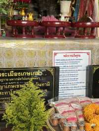 วัดที่ขอพรเรื่องความรัก 💗วัดโลกโมฬี - เชียงใหม่