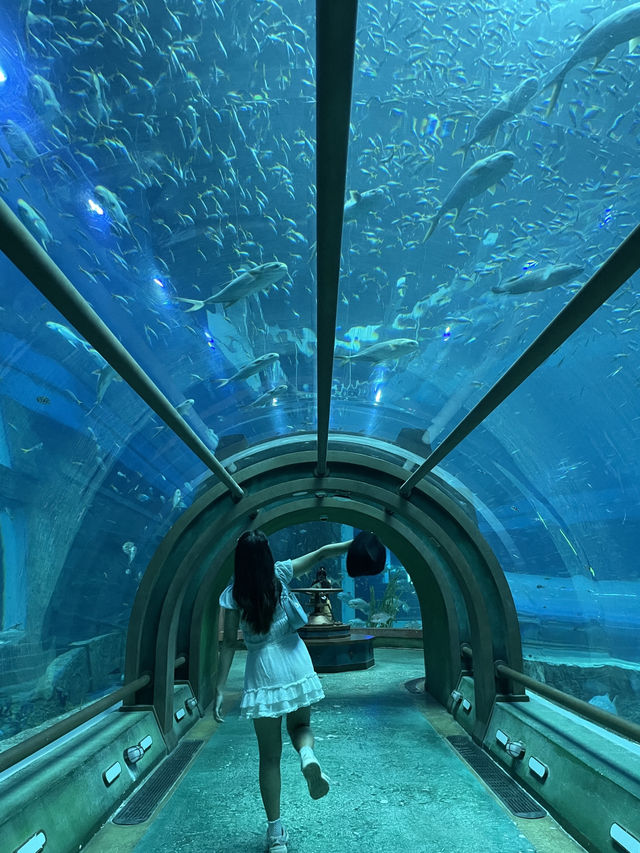 อความเรียมในสวนสนุก Vinwonders🐋 อความเรียมในสวนสนุก Vinwonders🐋