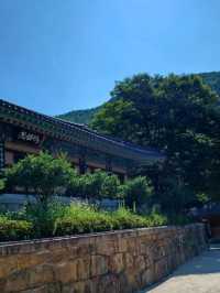 고즈넉한 산사의 평화, 화엄사