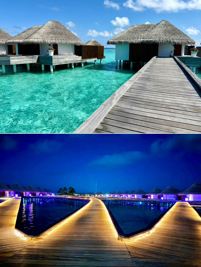 🏝️ Tropical Bliss at W Maldives – Overwater Villa Escape
