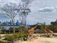 SYDNEY