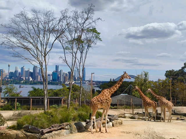 SYDNEY