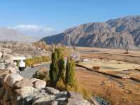 A Bird's-Eye View of the Golden Grassland: A Golden Scroll on the Pamir Plateau