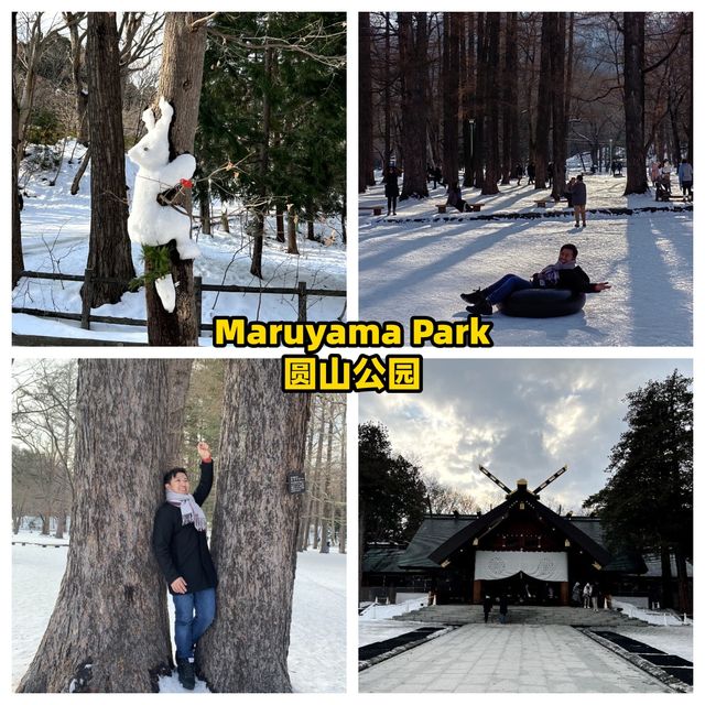 🌸 A Magical One-Day Journey Through Sapporo — From Morning Views to Night Lights