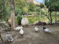 Botanical Garden of Crete