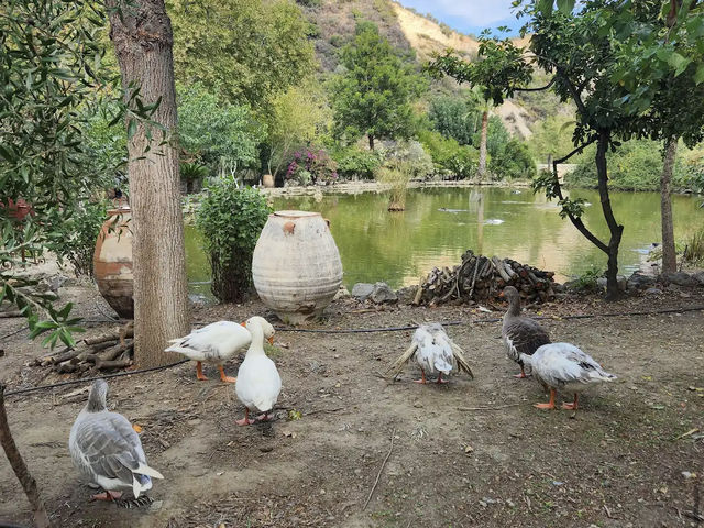 Botanical Garden of Crete