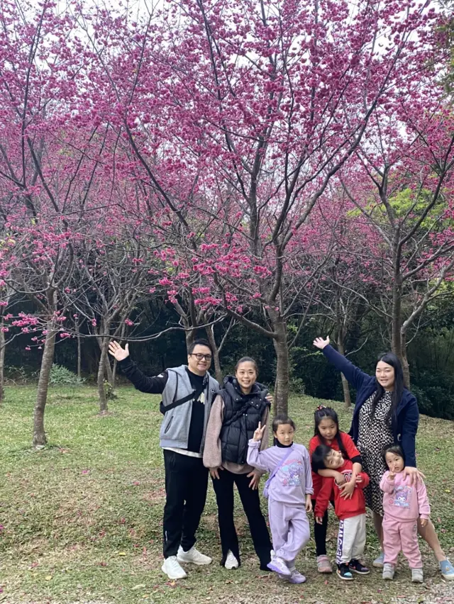 免費賞花最佳時節必去景點🌸