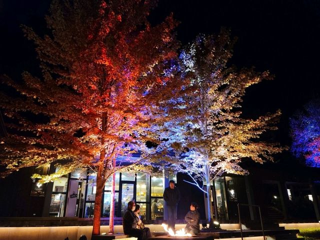 【北海道】星野リゾートトマム