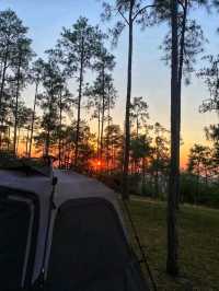 🌲🏞️ Mountain Pine Ridge Forest Reserve – Belize’s Highland Wonderland