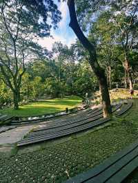Mystical Paths of Ubud Monkey Forest 🌿🐒