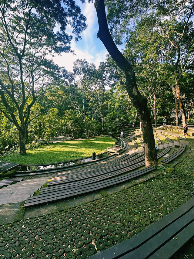 Mystical Paths of Ubud Monkey Forest 🌿🐒